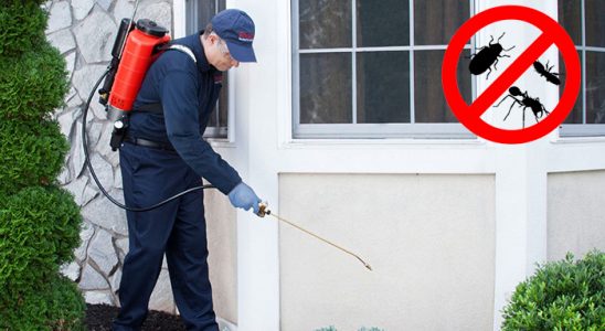 Refahiye Fare İlaçlama böcek ilaçlama ve haşere kontrolü — ilaclama-tr.com